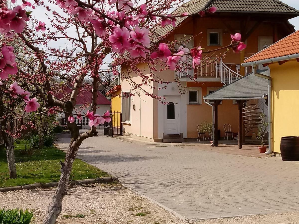 Napsugar Vendeghaz Hotel Újudvar Buitenkant foto